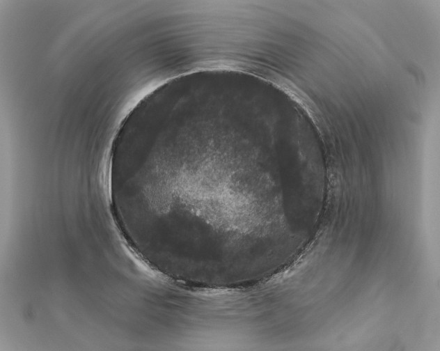 X0000112821127200909041509