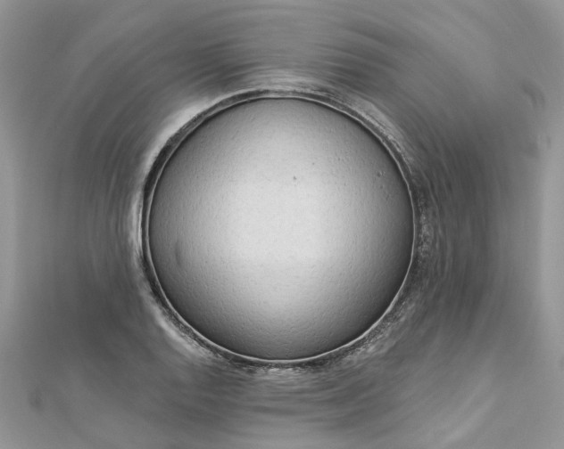 X0000112821128200909041509