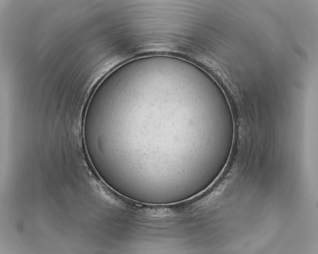 X0000112821129200909041509