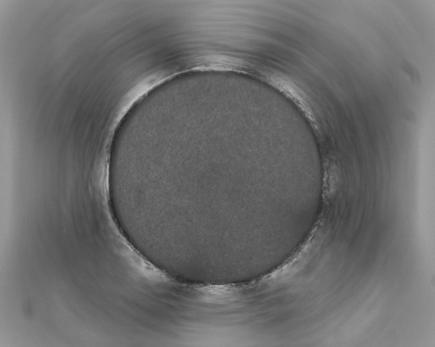 X0000112821130200909041509