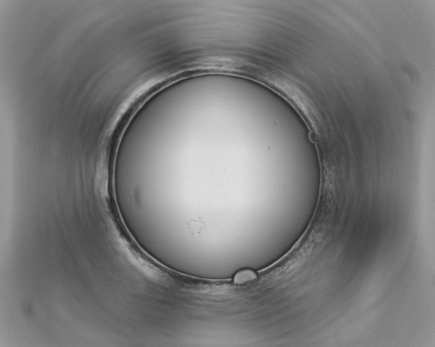 X0000112821131200909041509