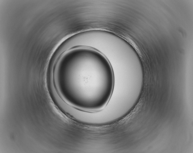 X0000112821132200909041509