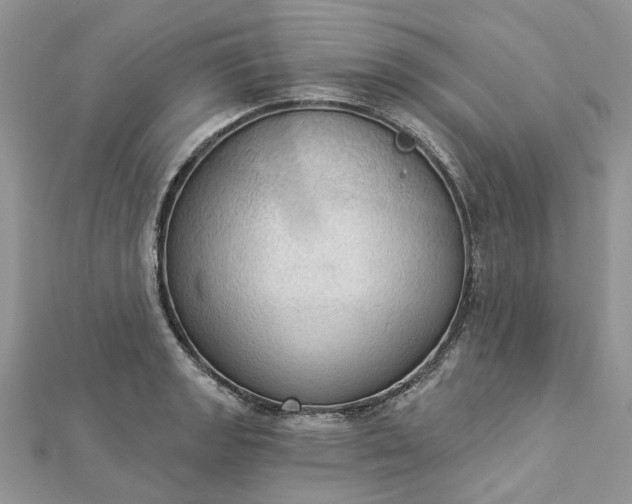 X0000112821133200909041509