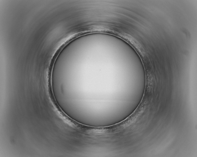 X0000112821134200909041509