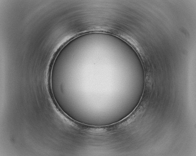 X0000112821135200909041509