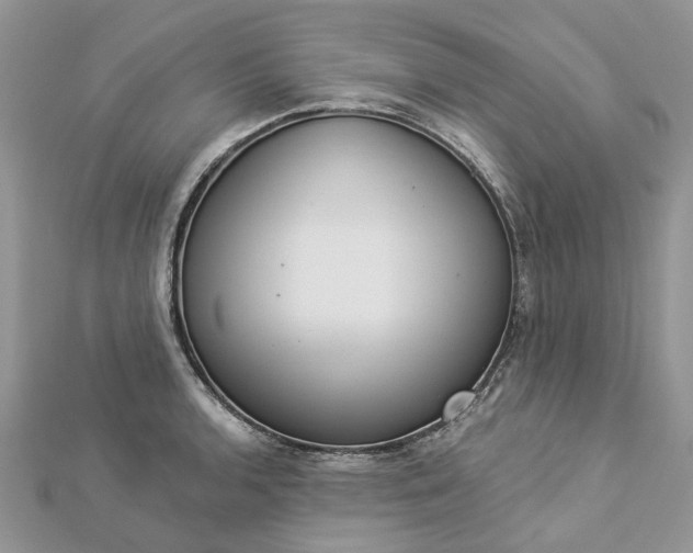 X0000112821136200909041509