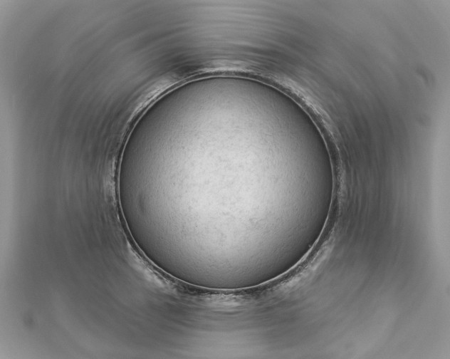 X0000112821137200909041509