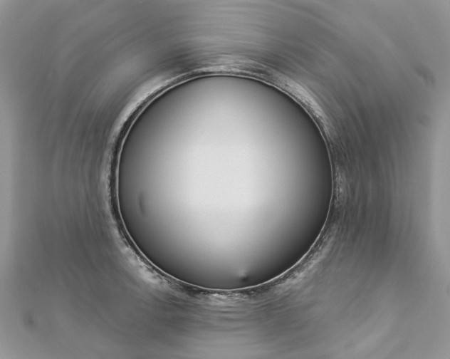 X0000112821138200909041509