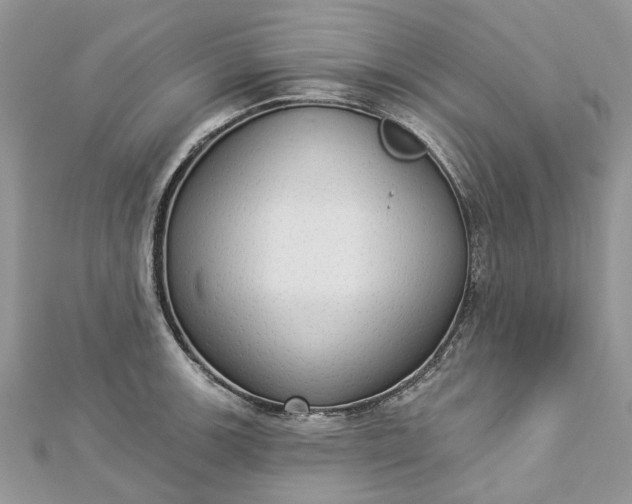 X0000112821139200909041509