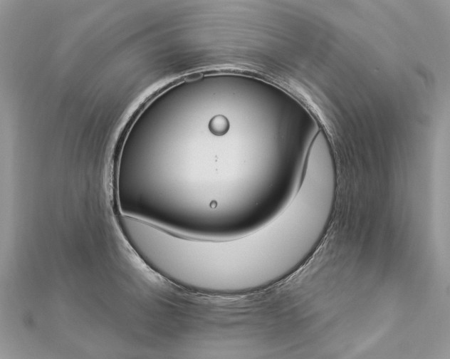 X0000112821140200909041509