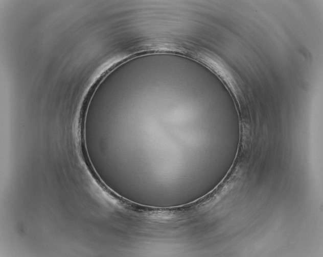 X0000112821141200909041509