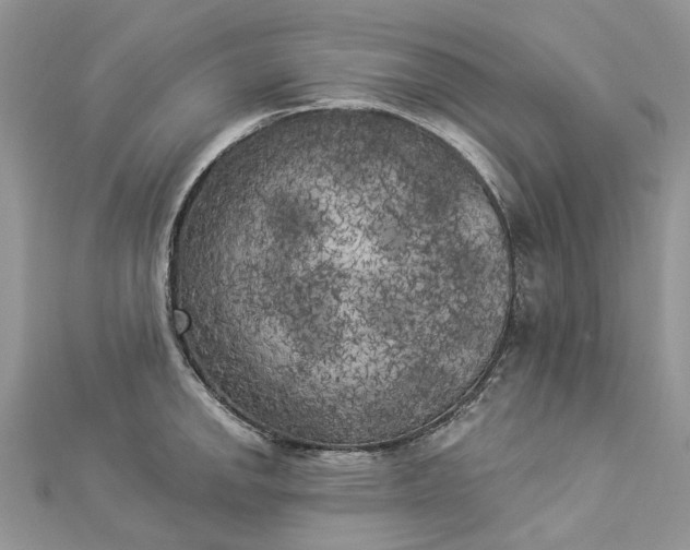 X0000112821142200909041509