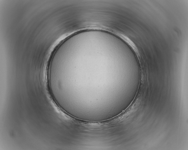 X0000112821144200909041509