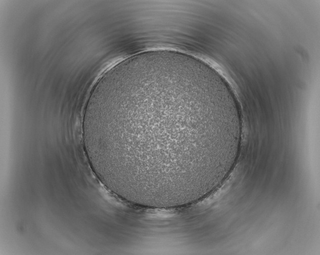 X0000112821145200909041509