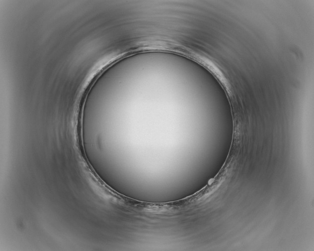 X0000112821146200909041509