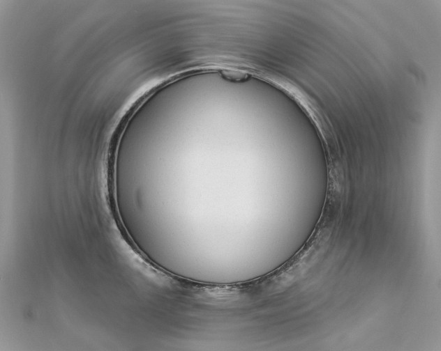 X0000112821147200909041509