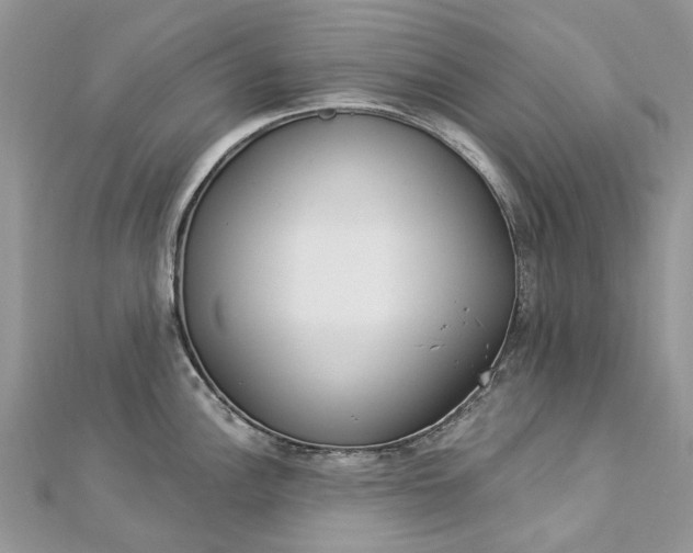 X0000112821148200909041509