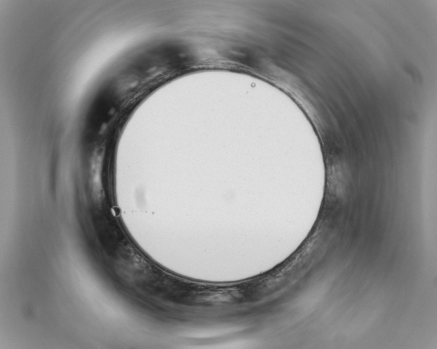 X0000112821150200909041509