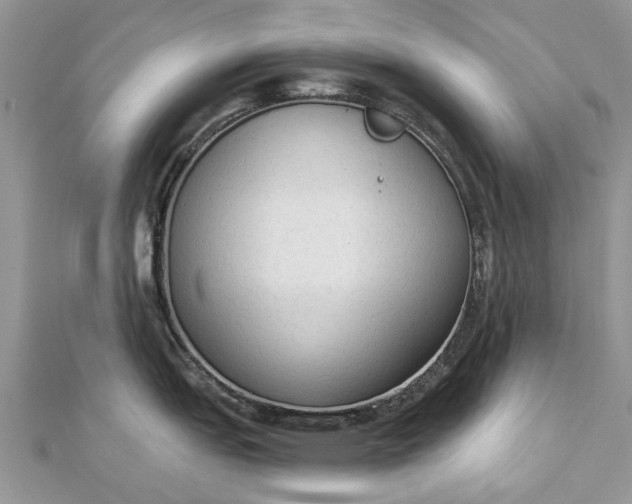 X0000112821151200909041509