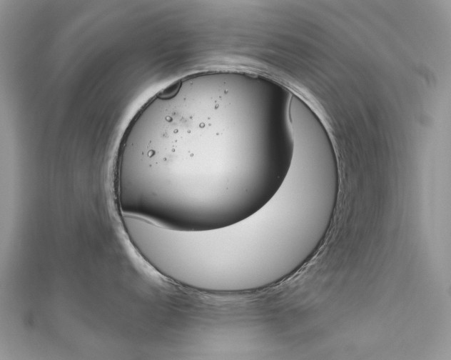 X0000112821152200909041509