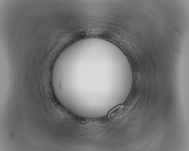 X0000112821153200909041509