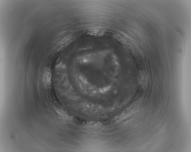 X0000112821154200909041509