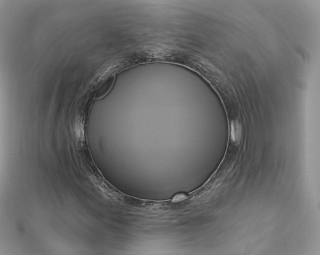 X0000112821155200909041509