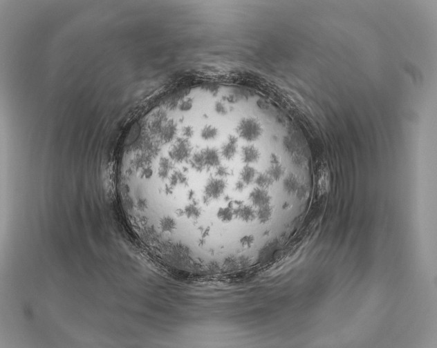 X0000112821156200909041509