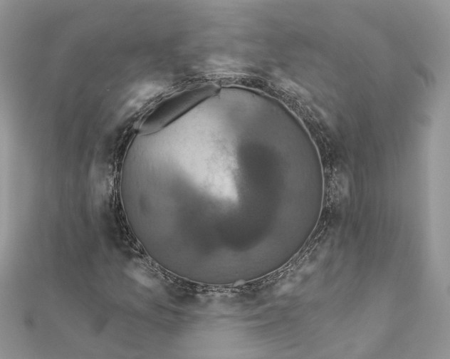 X0000112821157200909041509