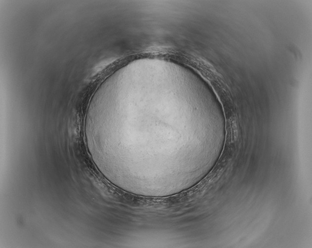 X0000112821158200909041509