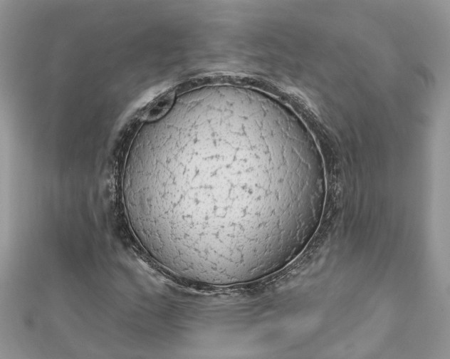 X0000112821159200909041509