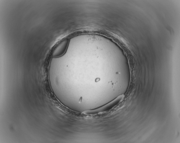 X0000112821160200909041509