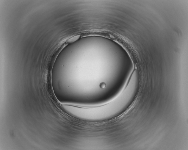 X0000112821161200909041509