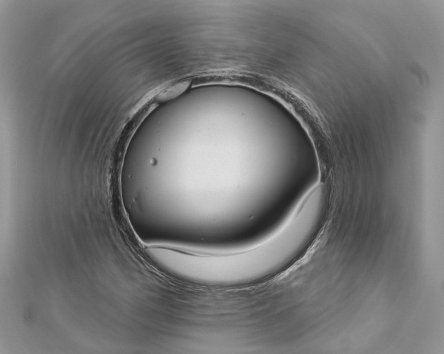 X0000112821162200909041508