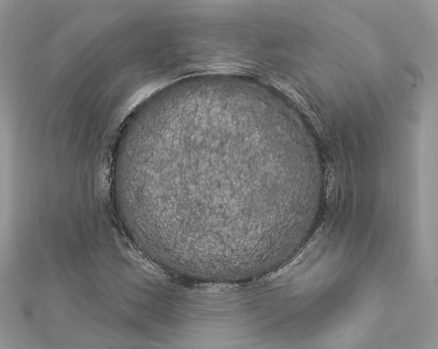 X0000112821163200909041508