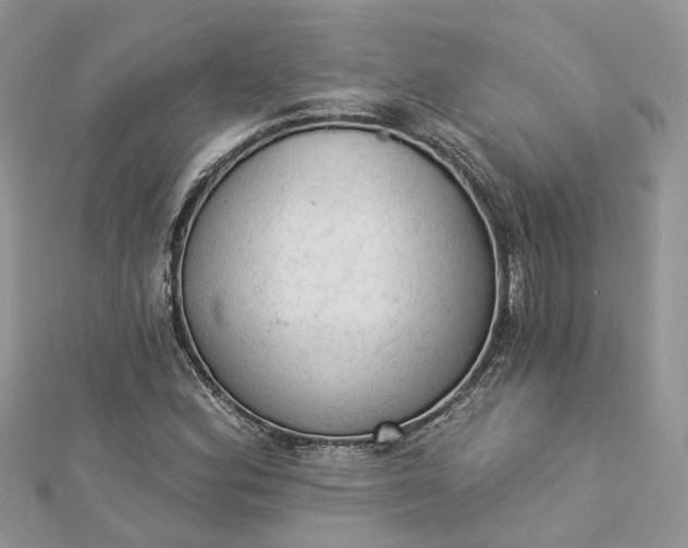 X0000112821164200909041508