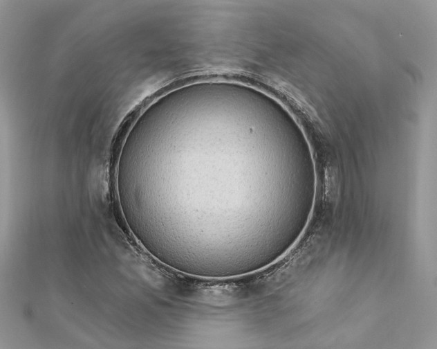 X0000112821165200909041508