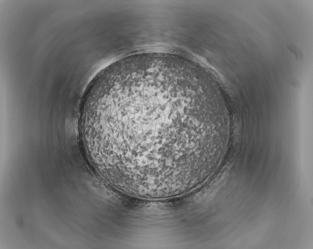 X0000112821166200909041508