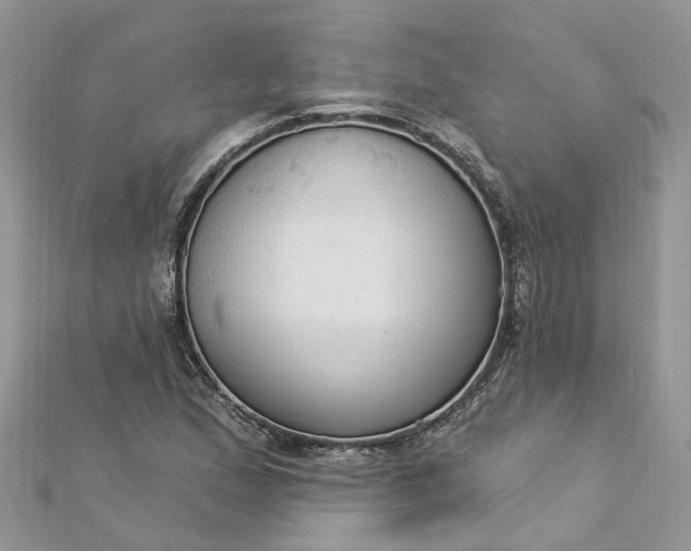 X0000112821167200909041508