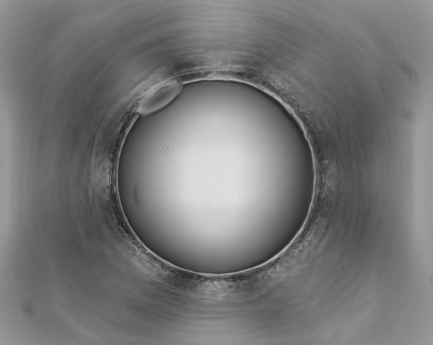 X0000112821169200909041508