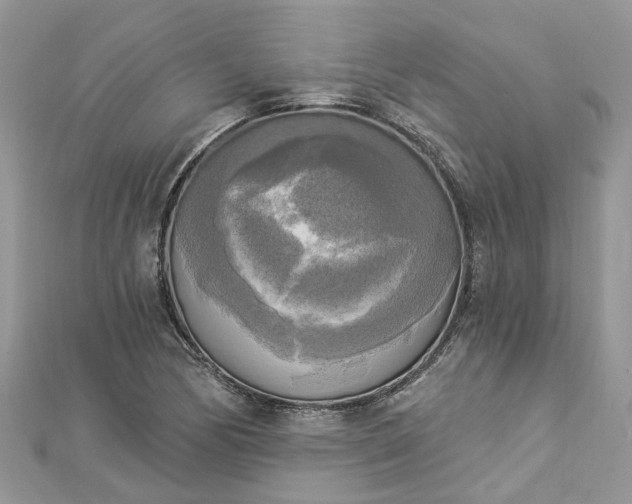 X0000112821170200909041508