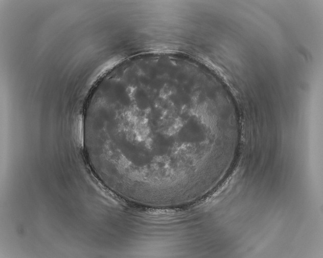 X0000112821171200909041508