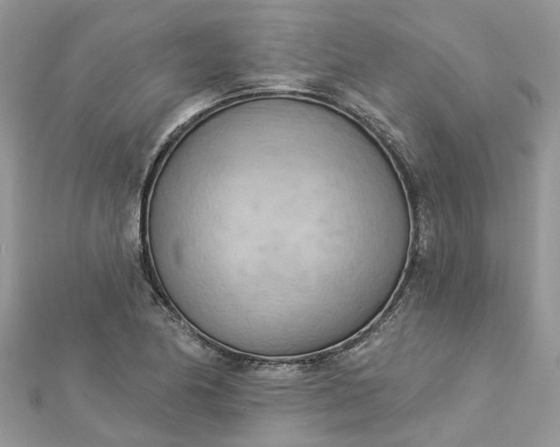 X0000112821174200909041508