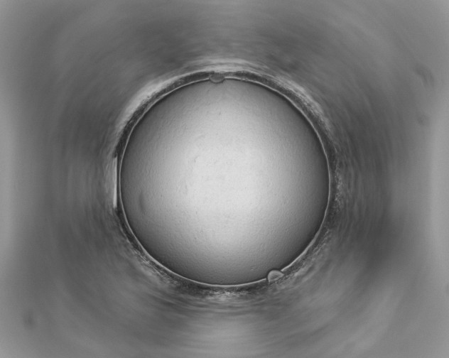 X0000112821175200909041508