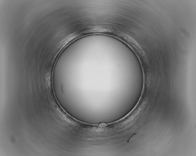 X0000112821177200909041508