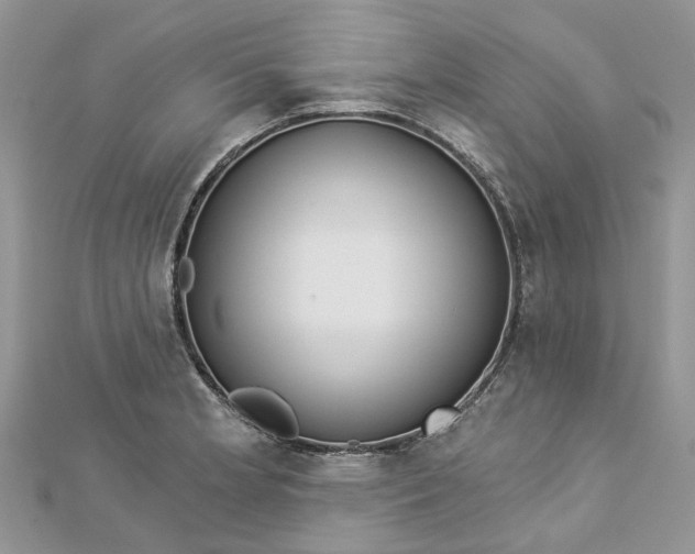 X0000112821181200909041508