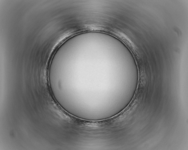 X0000112821182200909041508