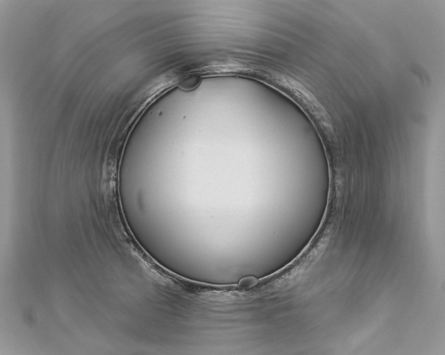 X0000112821185200909041508