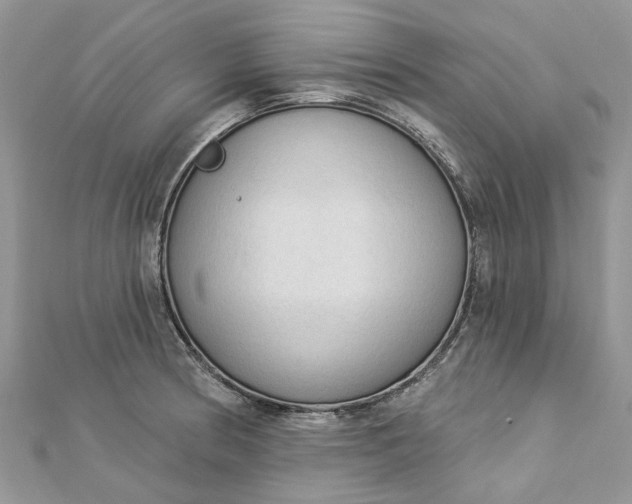 X0000112821186200909041508