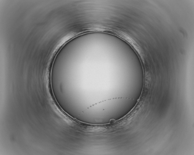 X0000112821187200909041508